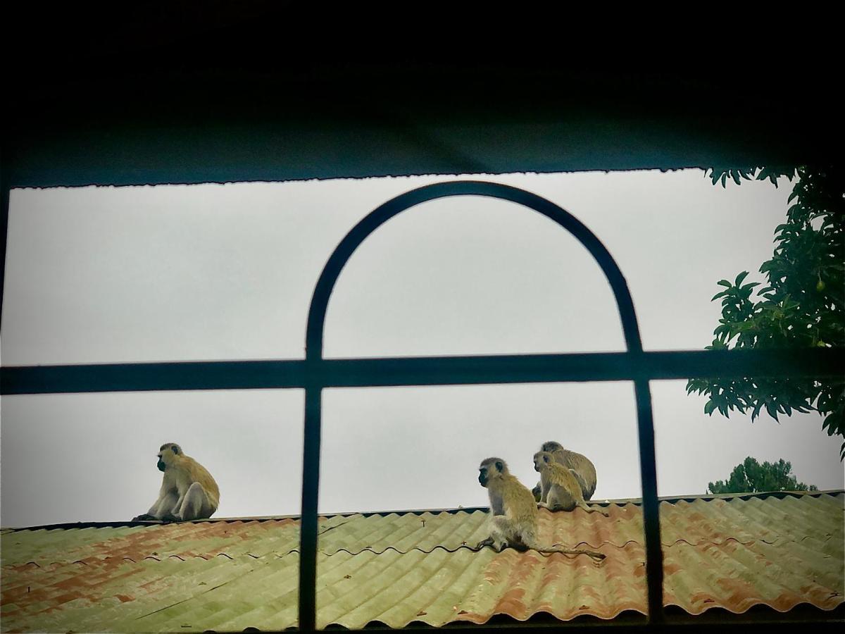 Safari Adventures-House Bed & Breakfast Arusha Exterior photo